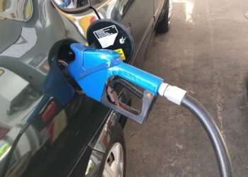 bioenergia, combustível, energético
