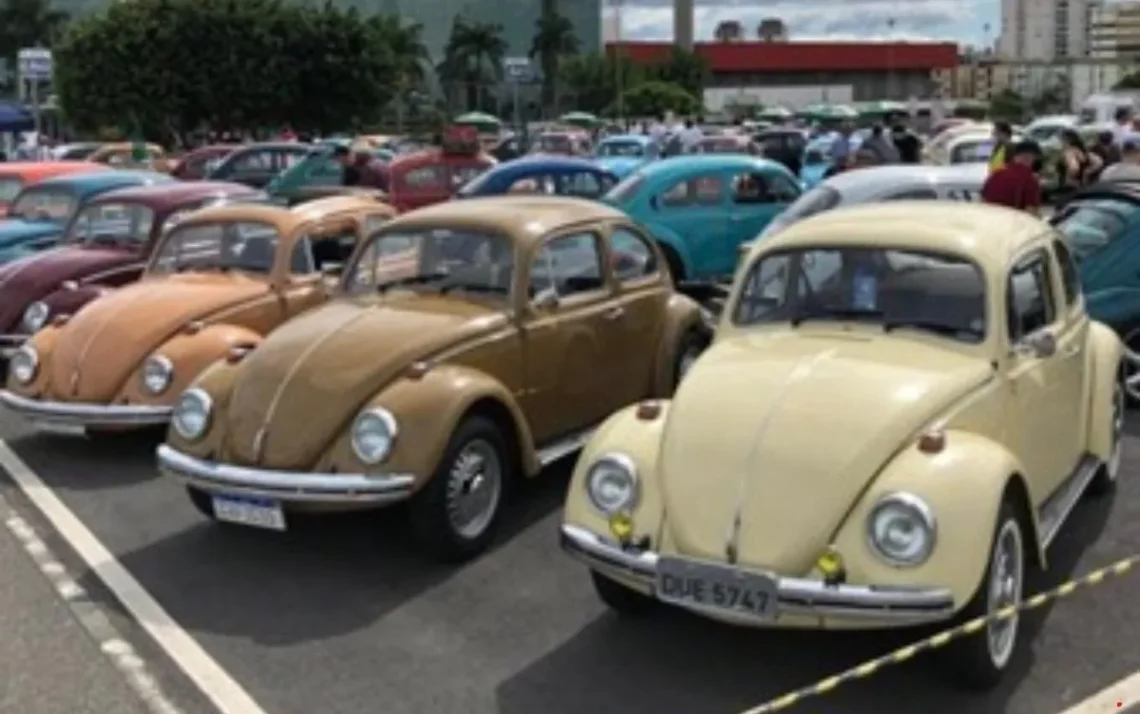 veículos, automóveis, carros clássicos;