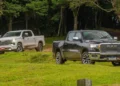 veículos, automóveis, carros populares;
